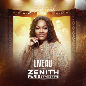 LIVE AU ZENITH DE PARIS LA VILLETTE