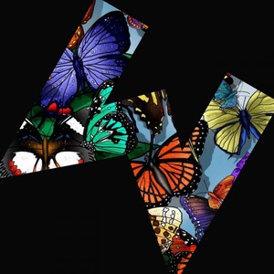 Mariposas (Joseph Gaex, Garex Remix)