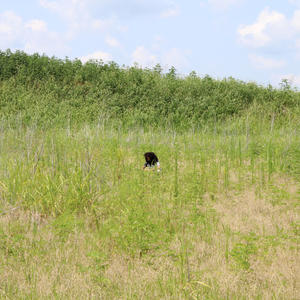 Feeling Easy (Explicit)