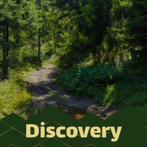 Discovery