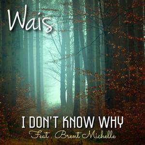 I Don't Know Why(feat. Brent Michelle)