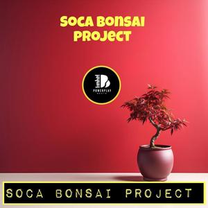 Soca Bonsai Project