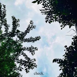 Check (feat. Jess Delgado) (Explicit)