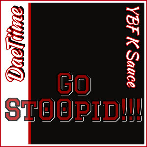 Go St00pid!!! (Explicit)