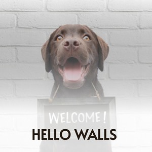 Hello Walls