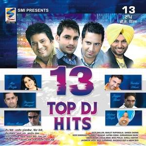 13 Top DJ Hits