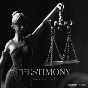 TESTIMONY (feat. The Fullest) [Radio Edit]