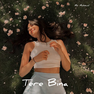 Tere Bina