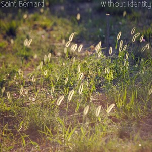 Waltz No. 2(Until Death Do Us Part)