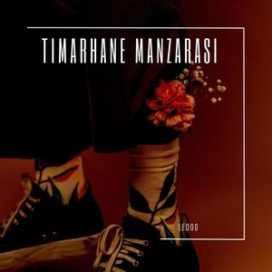 Tımarhane Manzarası (Explicit)