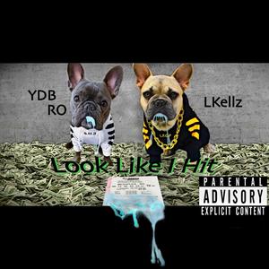 Look Like I Hit(feat. Lkellz) (Explicit)