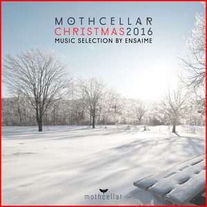 Mothcellar Christmas 2016