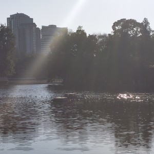 透明的夏日Alicias keys