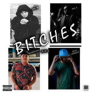 Bitches (feat. Ricardinho Mx) (PROYECTO MR 38 & Félix Neyruga Remix|Explicit)