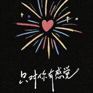 只对你有感觉封面