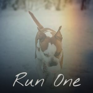 Run One