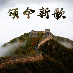 送你一束三角梅