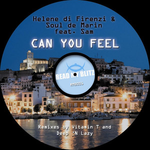 Can You Feel (Feat. Sam De Wit & Vitamin T radio edit) (Radio Edit)