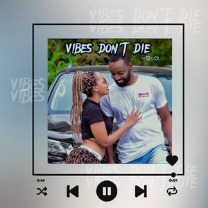 Vibes Don't Die