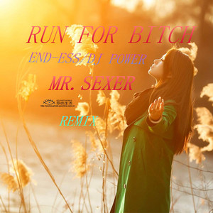 EnD-EsS / DJPower - Run for ***** (Mr.Sexer Remix Vol 1)