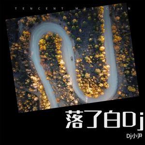 落了白Dj (Remix)