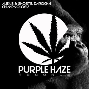 Chimpnology (Original Mix)