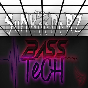 BaSsTech