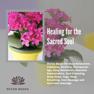 Sacred Trust (Original Mix)