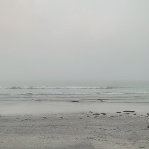 No, I've Never Felt The Wind