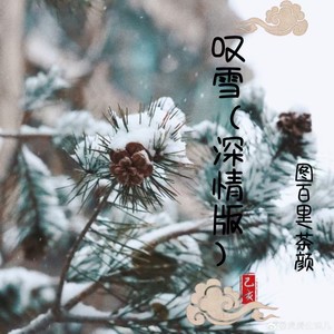 叹雪（深情版）