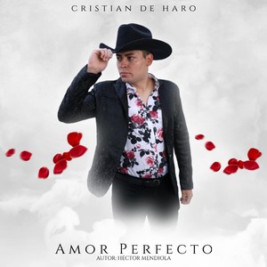 Amor Perfecto