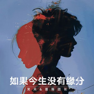 笑天 - 如果今生没有缘分 (DJ默涵版)