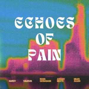 Echoes of Pain (feat. Valious) (Explicit)