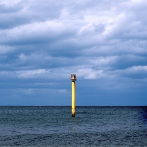 The Flood (feat. Sophia Pettit)