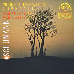 Sonata for Violin and Piano No. 2 in D Minor, Op. 121 - I. Ziemlich langsam, lebhaft