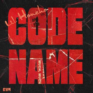 Code Name (Explicit)