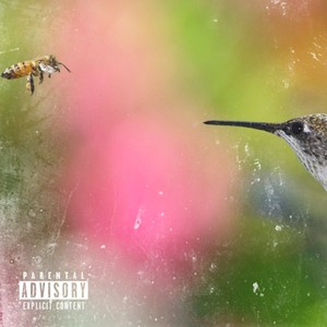 Birds And The Bees (Explicit)