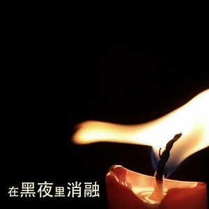 在黑夜里消融