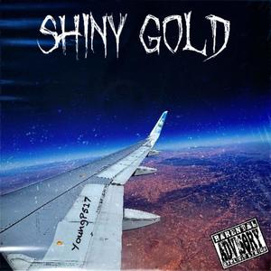 Shiny Gold (Explicit)