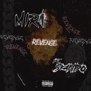 REVENGE (feat. Skando) (Explicit)