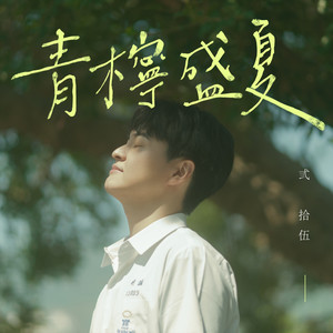 青柠盛夏封面