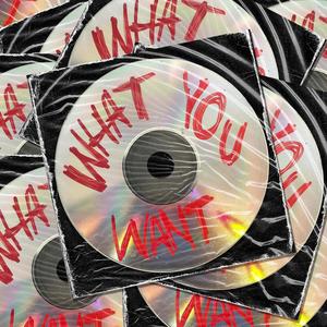 What You Want (Explicit)