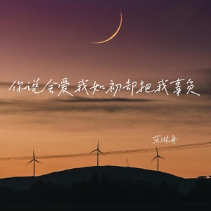 你说会爱我如初却把我辜负