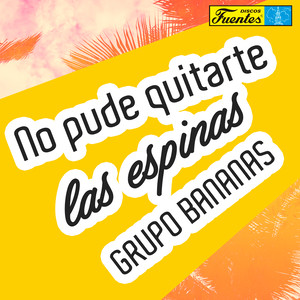 No Pude Quitarte las Espinas