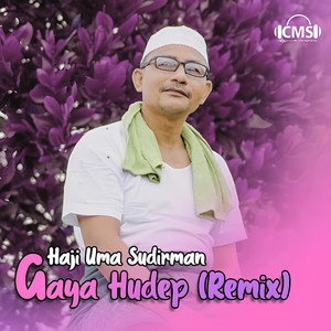 DJ Gaya Hudep (Remix)