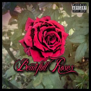 Beautiful Roses
