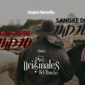 Sangre de Indio