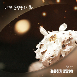 이게 운명인가 봐 (看来这就是命运) (Inst.)