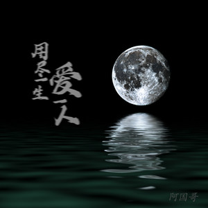 用尽一生爱一人 (DJ版)