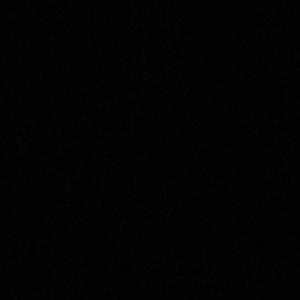 Nightshow(feat. YunnyGoldz)